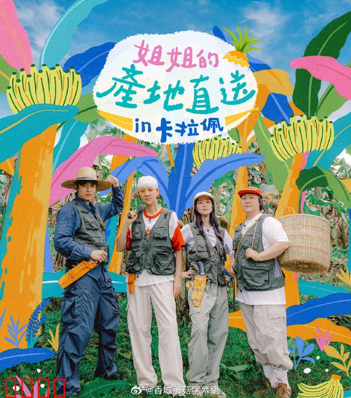 姐姐家的产地直送3：亲情的抉择