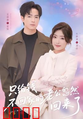 只给钱不回家的老公忽然回来了：背后的秘密