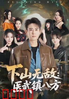下山无敌：隐世高手