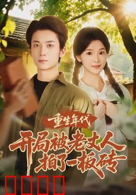 重生年代开局被老丈人拍了一板砖：逆袭之路