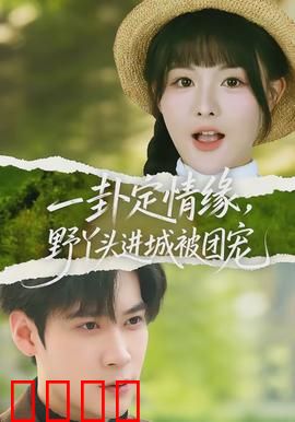 一卦定情缘，野丫头进城被团宠：逆袭豪门风云