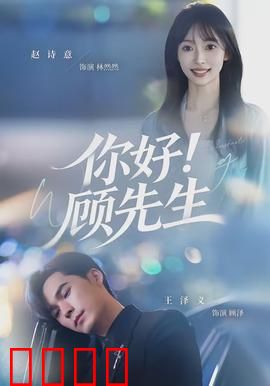 你好！顾先生：霸道总裁追爱记