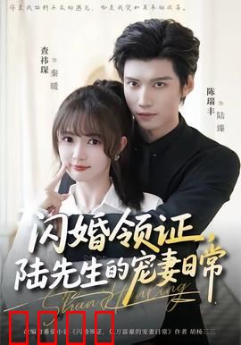 闪婚领证，陆先生的宠妻日常：先婚后爱甜到炸