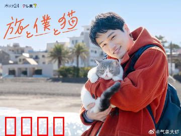 旅行和我和猫：温暖治愈之旅