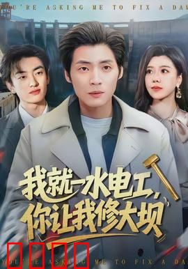 我就一水电工，你让我修大坝：逆袭传奇