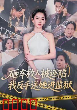 砸车救人被诬陷，我反手送她进监狱：人性之恶