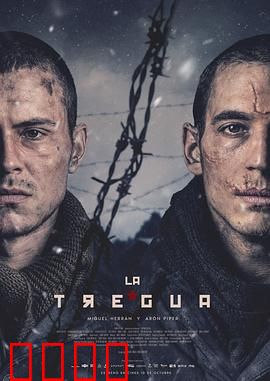 休战：短暂的宁静