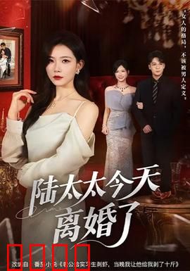 陆太太今天离婚了：逆袭反击