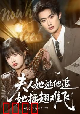 夫人她逃他追，她插翅难飞：霸总追妻火葬场