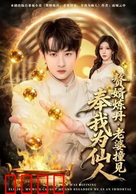 赘婿炼丹，老婆撞见，奉我为仙人：逆袭仙尊