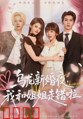 乌龙新婚夜，我和姐姐走错啦：姐妹互换闹乌龙