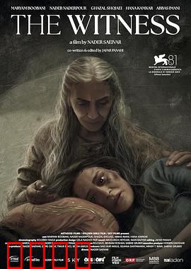 证人2024：暗夜追凶