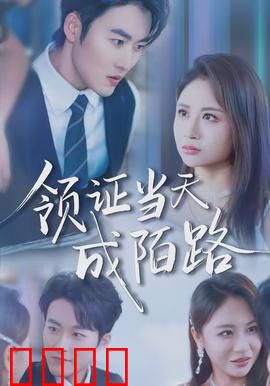 领证当天成陌路：假面婚姻破灭