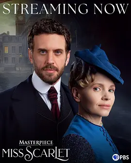 斯嘉丽小姐探案集第六季：迷雾真相