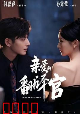 亲爱的翻译官：梦想与爱情的双重奏