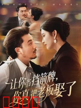 让你当挡箭牌，你真把老板娶了：职场逆袭