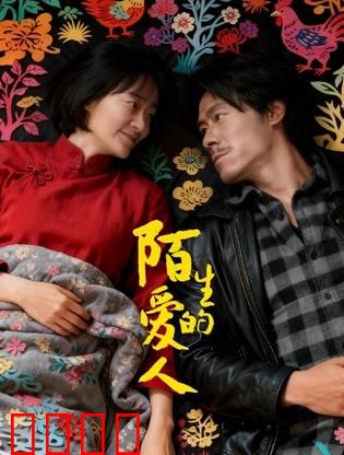 陌生的爱人：失忆再相爱