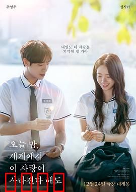 今夜，就算这份爱恋从世界上消失：记忆消亡，爱意永存