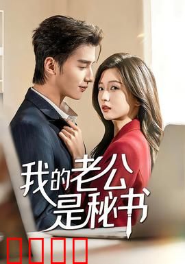 我的老公是秘书：婚后职场双重挑战