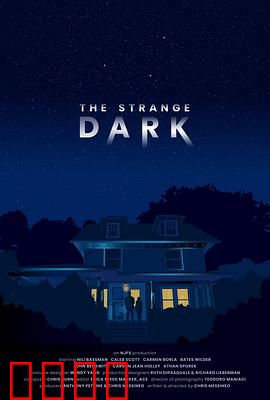 奇异黑暗：光与影的救赎