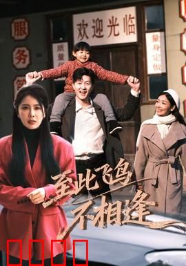 到此飞鸟不相逢：候鸟的约定