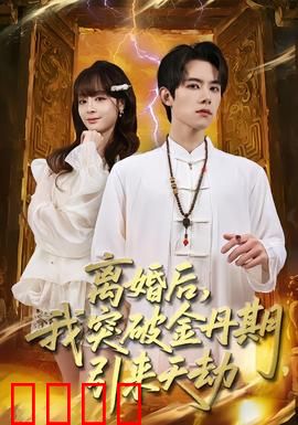 离婚后，我突破金丹期，引来天劫：仙尊归来