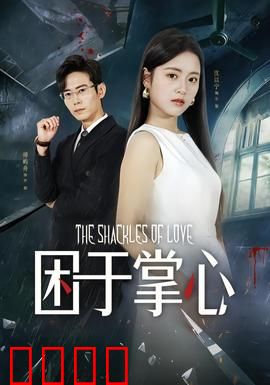 困于掌心：完美人设陷