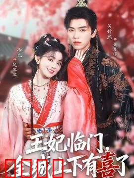 王妃临门全城上下有喜了：萌妃喜孕记