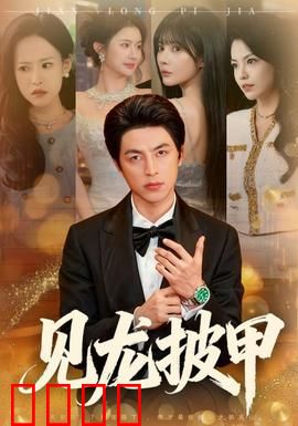 见龙披甲：巾帼血战