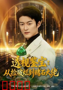 透视鉴宝：金瞳识宝