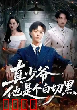真少爷他是个白切黑：腹黑少爷归来