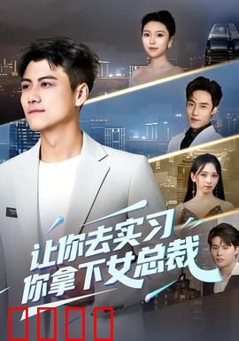 让你去实习，你拿下女总裁：实习生逆袭记