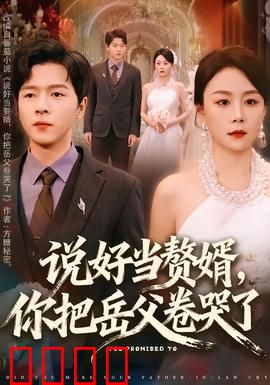 说好当赘婿，你把岳父卷哭了：极限内卷