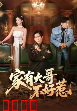 《大哥归来：江湖再起