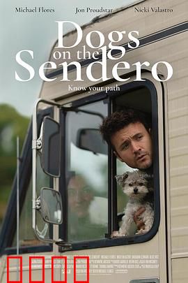 光荣之路上的狗：永不放弃的奔跑