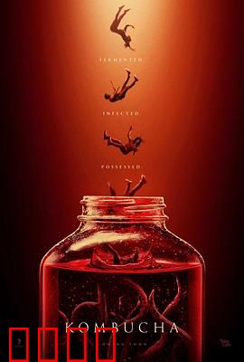 康普茶：发酵人生