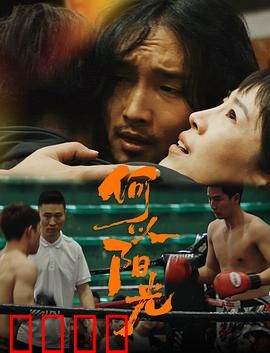 何以阳光：追光之旅