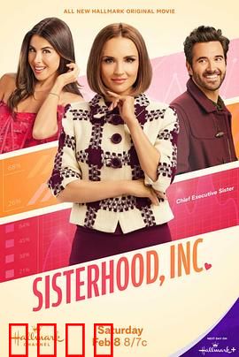 姐妹董事会：商战姐妹花