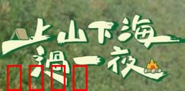 上山下海过一夜：荒野求生奇遇