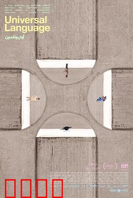 共同的语言：跨越边界的共鸣