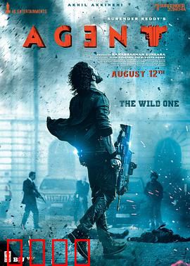 野蛮特工：无间风暴