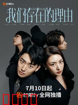 我们存在的理由：寻找意义之光
