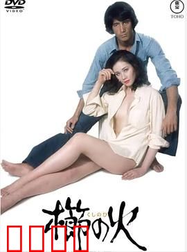 梳之火：火中重生