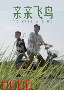 亲亲飞鸟：青春与爱齐飞