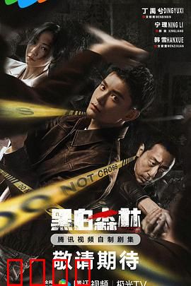 黑白森林2024：暗夜追踪