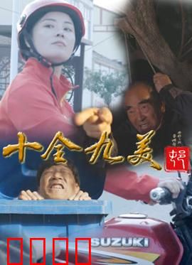 十全九美村：乡村逆袭记