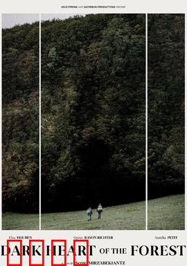 森林的黑暗心脏：被遗忘的诅咒