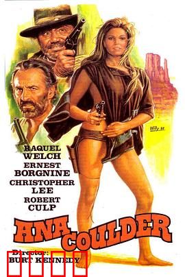 复仇的女枪手：快意恩仇