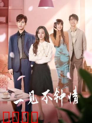 一见不钟情2024：错爱真相