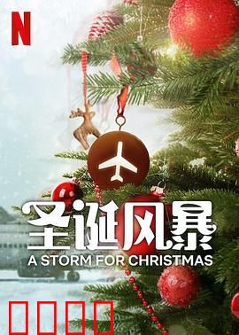 圣诞风暴：极寒求生